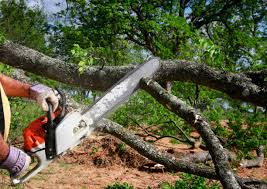 Landscape Design and Installation in Whitfield, FL